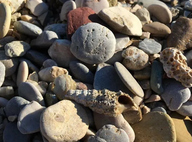 Patricia Appartamento